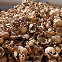 فروش تناژ پوست خشک بادم درختی..گردو..|عمدهفروشی|دامغان, |دیوار