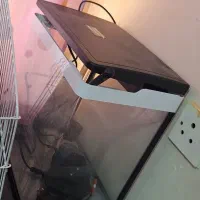 اکواریوم دلسا