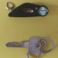 کلید گم شده