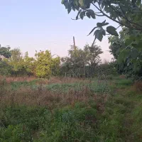 زمین-مسکونی-با-نامه-بنیاد