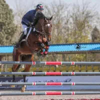 اموزش سوارکاری از مبتدی تا قهرمانی