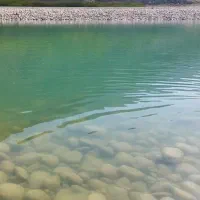 خانه گوشواره ای بلوطک شیخان