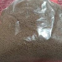 غذای ماهی|ماهی|کرج, جهان‌شهر|دیوار
