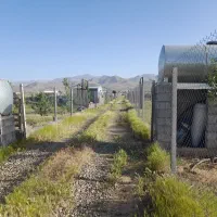 باغ|فروش خانه و ویلا|بهار, |دیوار