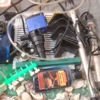 اکواریوم ماهی با همه تجهیزات|ماهی|ماکو, |دیوار