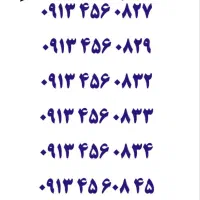 0913.25.25.301|سیم‌کارت|یزد, |دیوار