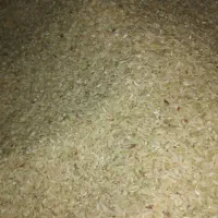 برنج چمپا