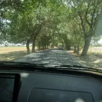 باغ باغچه 450متری کاشانک اسلام شهر