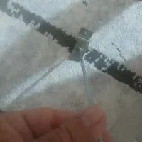 شاخک