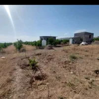 زمین 1000 متری اطراف ساوه