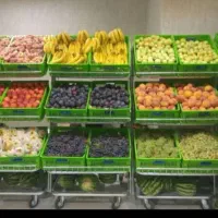 استندمیوه چرخدارسبدپلاستیکی+پایه فلزی متحرک