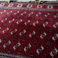 فرش دستباف|فرش|بندر ترکمن, |دیوار