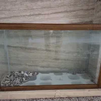 آکواریوم سالم و در حد نو|ماهی|مشهد, چهارچشمه|دیوار