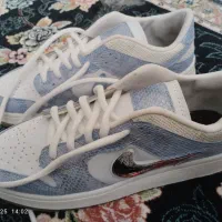 کفش دراگون ارزان