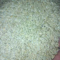 یک تن جو انصار دیم بذر ی|لوازم جانبی حیوانات|کبودرآهنگ, |دیوار