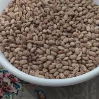 500کلیلولویبا ارتشی تمیز