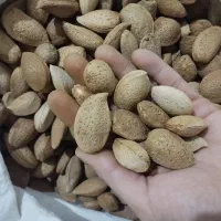 بادام تازه و شیرین