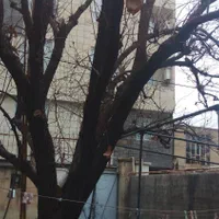 فروش خانه - ۱۸۲ متری ۴ خوابه همکف|فروش آپارتمان|قزوین, |دیوار