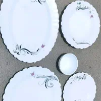 ارکوپال خارجی نو نو