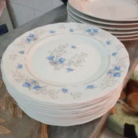 پلوخوری و پیش دستی ارکوپال|ظروف سرو و پذیرایی|اسلام‌شهر, شهرک واوان|دیوار