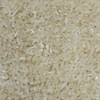 لاشه یا سرگل فجر مینودشت|عمده‌فروشی|گنبد کاووس, |دیوار