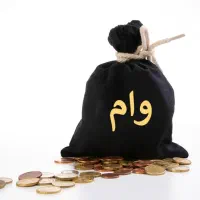 ضامن میشم رتبهA1