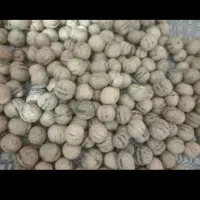 گردوی آذربایجان