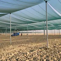 گلخانه|خدمات باغبانی و درختکاری|خرم‌آباد, |دیوار