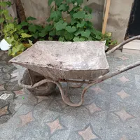 داوطلب