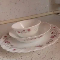 ظروف غذای خوری