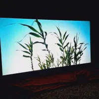 تلوزیون اسنوا