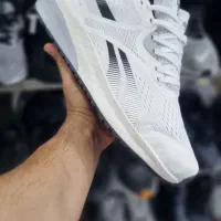 کتونی|کیف، کفش، کمربند|اهواز, زیتون کارگری|دیوار