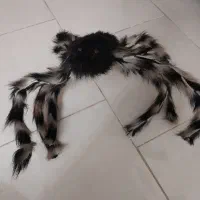 عروسک پولیشی