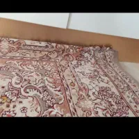 دو قطعه فرش ۶ متری نگین مشهد کار کرده|فرش|بروجرد, |دیوار