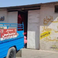 موکت نمایشگاهی|موکت|یزد, |دیوار