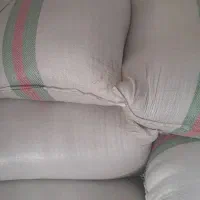 شالی طارم هاشمی