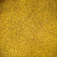 بذر یونجه محلی و وارداتی|خدمات باغبانی و درختکاری|شوشتر, |دیوار