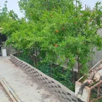 معاوضه با اصفهان،کاشان یزد،گیلان،مازندران|فروش خانه و ویلا|کهک, |دیوار