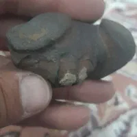 فسیل