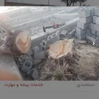 قطع درخت. جوشکار سیار