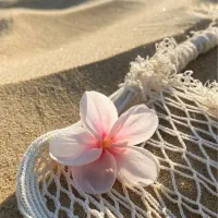 تور کیش6روزه  اقساط|تور و چارتر|مشهد, فردوسی|دیوار