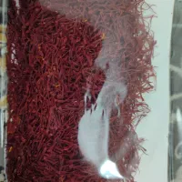 زرشک و زعفران قاینات