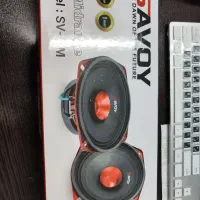 میدرنج  سایز 5 ساووی savoy|صوتی و تصویری|تهران, خاک سفید|دیوار