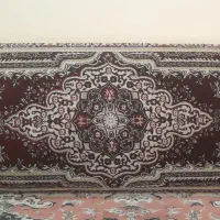 ۶عددپشتی یک متروبیست