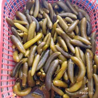 شوریجات وترشیجات