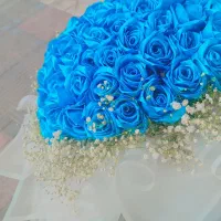 گل روبانی  روبان