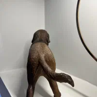 سگ اسباب بازی|اسباب‌بازی بچه|تهران, کوی بیمه|دیوار