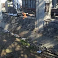 نصب کاشی سرامیک سنگ بلوک شیشه‌ای|خدمات پیشه و مهارت|محمودآباد, |دیوار