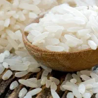 برنج کامفیروزی درجه یک