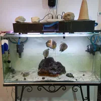 آکواریوم ریملس شیشه سوپر کیلیر